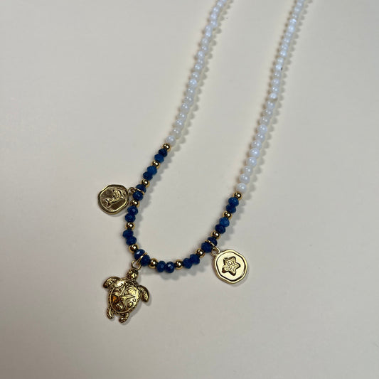 Collar largo marino