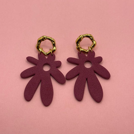 Funky Daisy  Buganvilla